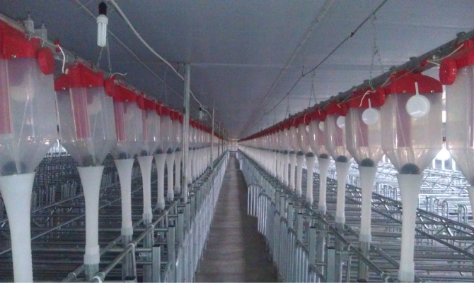 料條料線(xiàn)的優(yōu)勢(shì)