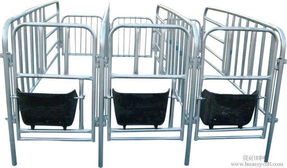 母豬限位欄的生產(chǎn)圖片