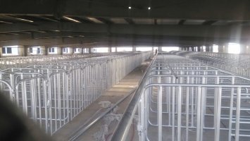 自動(dòng)料線(xiàn)