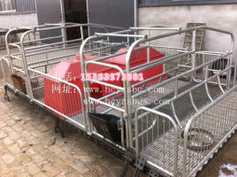 雙體母豬產(chǎn)床單體分娩床