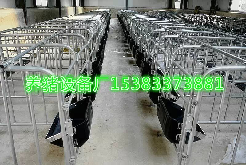 母豬限位欄的安裝優(yōu)勢