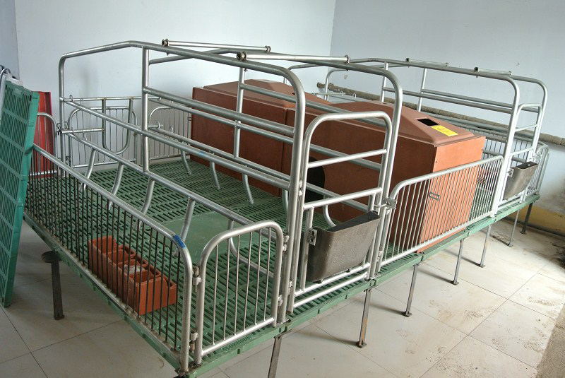 母豬產(chǎn)床多少錢