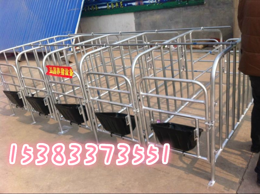 母豬定位欄是規(guī)?；s化養(yǎng)豬的一個產(chǎn)物