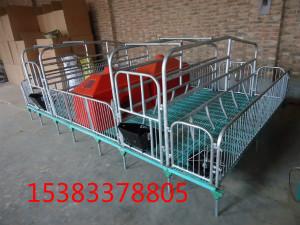 復合雙體母豬產(chǎn)床