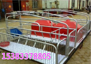 養(yǎng)豬設(shè)備產(chǎn)床母豬產(chǎn)床雙體