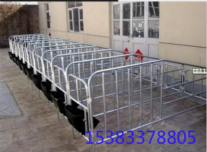 河北弘昌養(yǎng)豬設(shè)備公司母豬定位欄