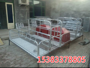 母豬產(chǎn)床廠家 養(yǎng)豬設(shè)備產(chǎn)床 母豬產(chǎn)床