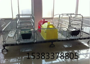 雙體母豬產(chǎn)床設(shè)備