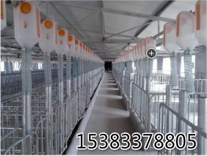 養(yǎng)豬自動(dòng)化送料系統(tǒng)