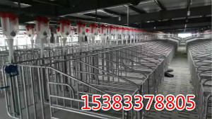 豬場(chǎng)喂料設(shè)備智能化