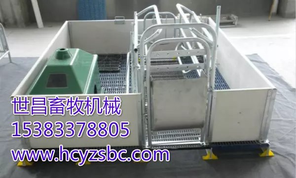 豬場設(shè)備歐式產(chǎn)床設(shè)計