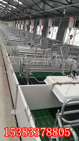 母豬產(chǎn)床歐式母豬產(chǎn)床廠家 養(yǎng)豬設備產(chǎn)床 豬設備 新型歐式產(chǎn)床