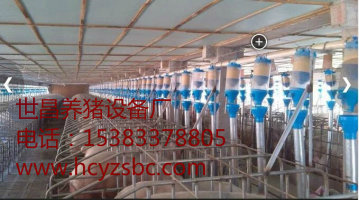 養(yǎng)殖場(chǎng)自動(dòng)上料設(shè)備