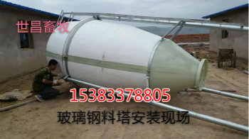 自動化料線安裝自動化養(yǎng)豬系統(tǒng)