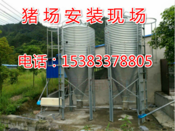 豬場自動(dòng)料線設(shè)計(jì)安裝
