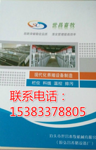 養(yǎng)豬自動(dòng)化喂料系統(tǒng)現(xiàn)代化喂豬系統(tǒng)