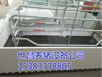 母豬產(chǎn)床雙體母豬產(chǎn)床復(fù)合式 母豬產(chǎn)床