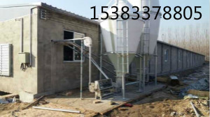 豬場自動(dòng)化養(yǎng)豬料線