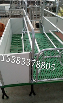 歐式母豬產(chǎn)床