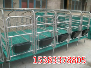 供應自動料線 養(yǎng)豬設備