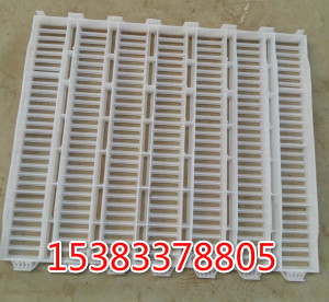 限位欄母豬定位欄供應