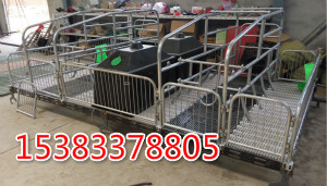 仔豬保育床的設計優(yōu)勢