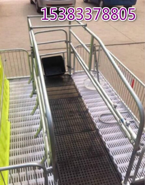 母豬限位欄的廠家