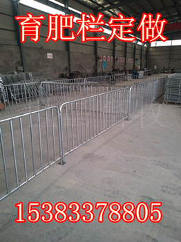 豬場育肥圍欄定位欄定做廠家