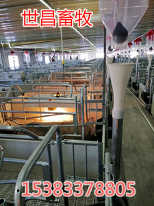 豬場自動(dòng)供料設(shè)備使用優(yōu)勢