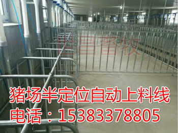 養(yǎng)豬場自動(dòng)化供料系統(tǒng)