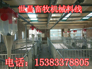 豬場(chǎng)新型建設(shè)自動(dòng)化喂料系統(tǒng)設(shè)計(jì)廠家
