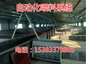 養(yǎng)豬設(shè)備自動(dòng)化喂料線