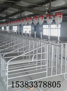 育肥豬場(chǎng)自動(dòng)喂料食槽料線