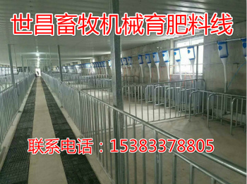 豬場(chǎng)新建自動(dòng)化喂料線設(shè)計(jì)廠家