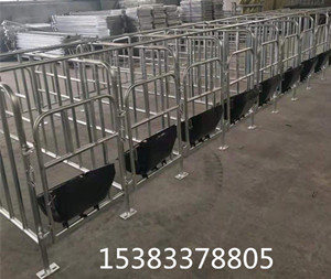 養(yǎng)豬場(chǎng)設(shè)備限位欄生產(chǎn)廠家