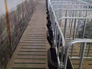 豬場(chǎng)限位欄定做加寬加長(zhǎng)