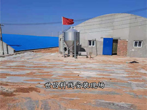 母豬產(chǎn)床自動(dòng)喂料線