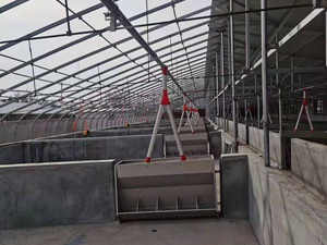 育肥豬舍下料線設(shè)計(jì)