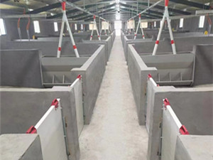 育肥豬場自動(dòng)化下料線
