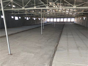 肥豬自動(dòng)下料線