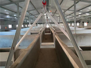 保育床自動(dòng)喂料線