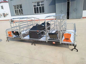 母豬產(chǎn)床上架