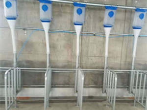 豬場自動(dòng)化上料系統(tǒng)