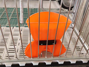 小豬補料槽